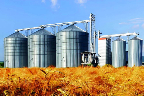 Зерновой запас страны: дефицит хранилищ в России