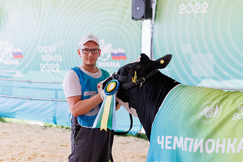«КРАСА АГРОВОЛГИ» - конкурс красоты среди коров пройдет в Казани